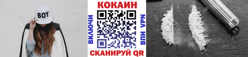 COCAIN Fish Scale  Купить закладки  Кизляр 