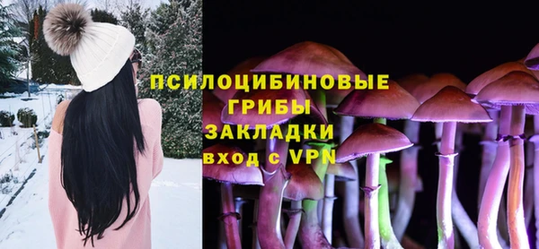 а пвп мука Инсар