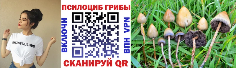 Галлюциногенные грибы MAGIC MUSHROOMS  Купить где  Кизляр 