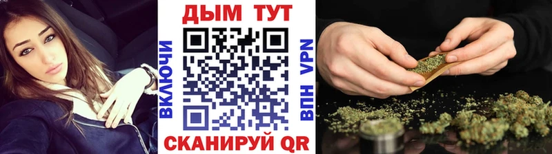 Шишки марихуана план  Купить где  Кизляр 